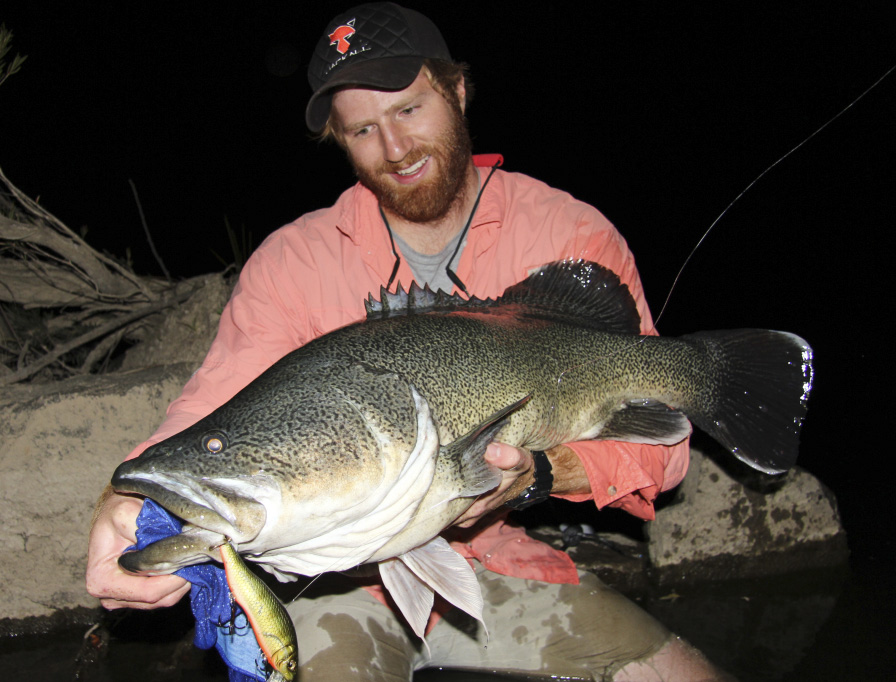 Rory Holds a Meter of Murray cod moments after it slammed his topwater lure in the dark.